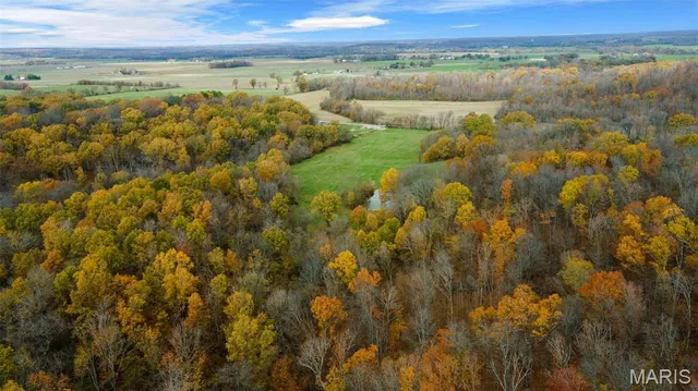 $704,900 | 0 County Road 259, Chaffee, MO 63740