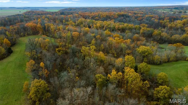 $704,900 | 0 County Road 259, Chaffee, MO 63740