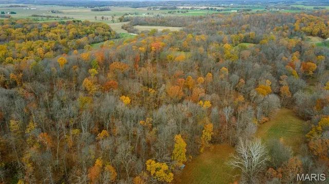 $704,900 | 0 County Road 259, Chaffee, MO 63740