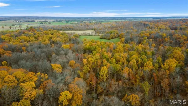 $704,900 | 0 County Road 259, Chaffee, MO 63740