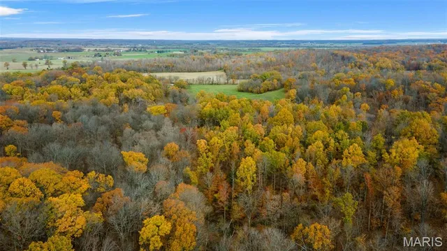$704,900 | 0 County Road 259, Chaffee, MO 63740