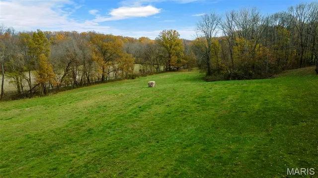 $704,900 | 0 County Road 259, Chaffee, MO 63740