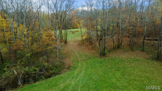 $704,900 | 0 County Road 259, Chaffee, MO 63740