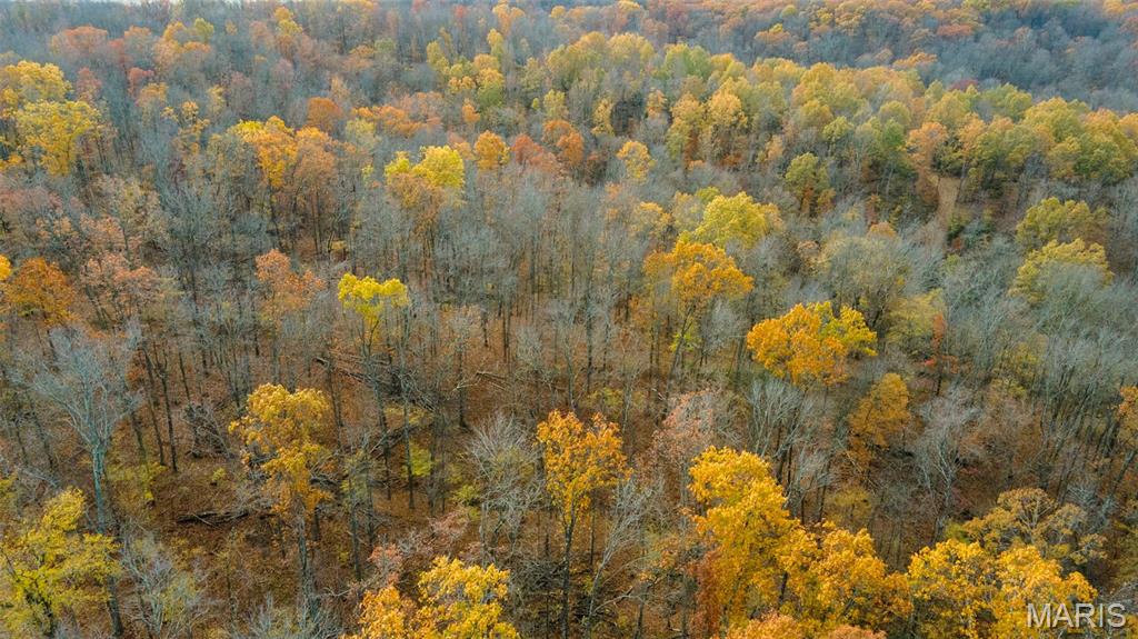 0 County Road 259 Chaffee, MO 63740 - Photo 44 of 46