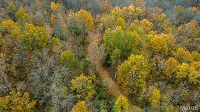 $704,900 | 0 County Road 259, Chaffee, MO 63740