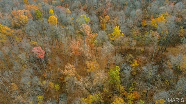 $704,900 | 0 County Road 259, Chaffee, MO 63740