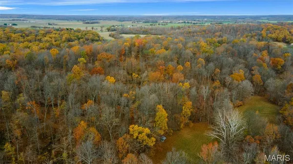$704,900 | 0 County Road 259, Chaffee, MO 63740