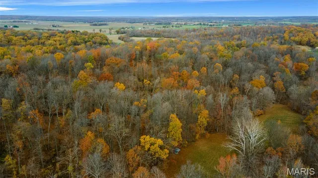 $704,900 | 0 County Road 259, Chaffee, MO 63740