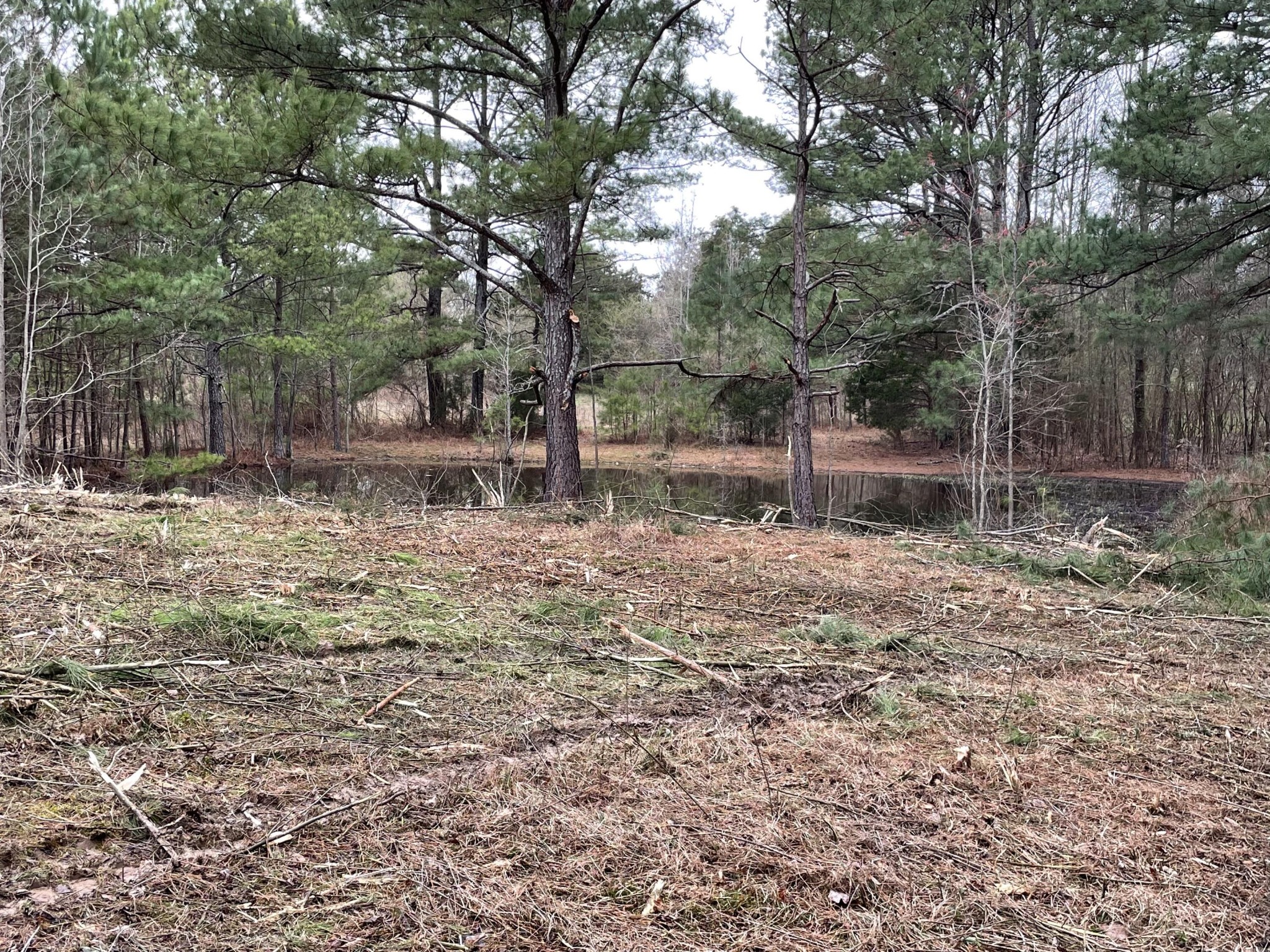 1500 Durkee Road Southeast Cleveland, TN 37323 - Photo 11 of 26