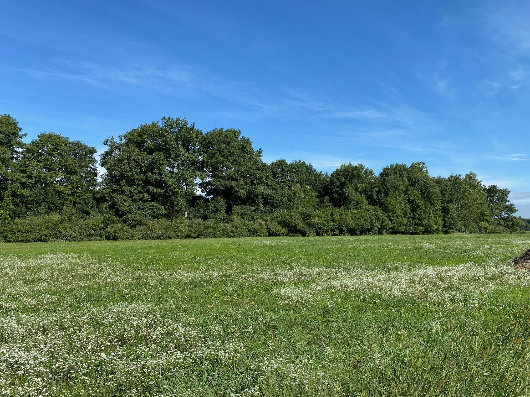 Lot #3 Johnson Farm Road Buxton, ME 04093 - Photo 3 of 5 IMG_9856