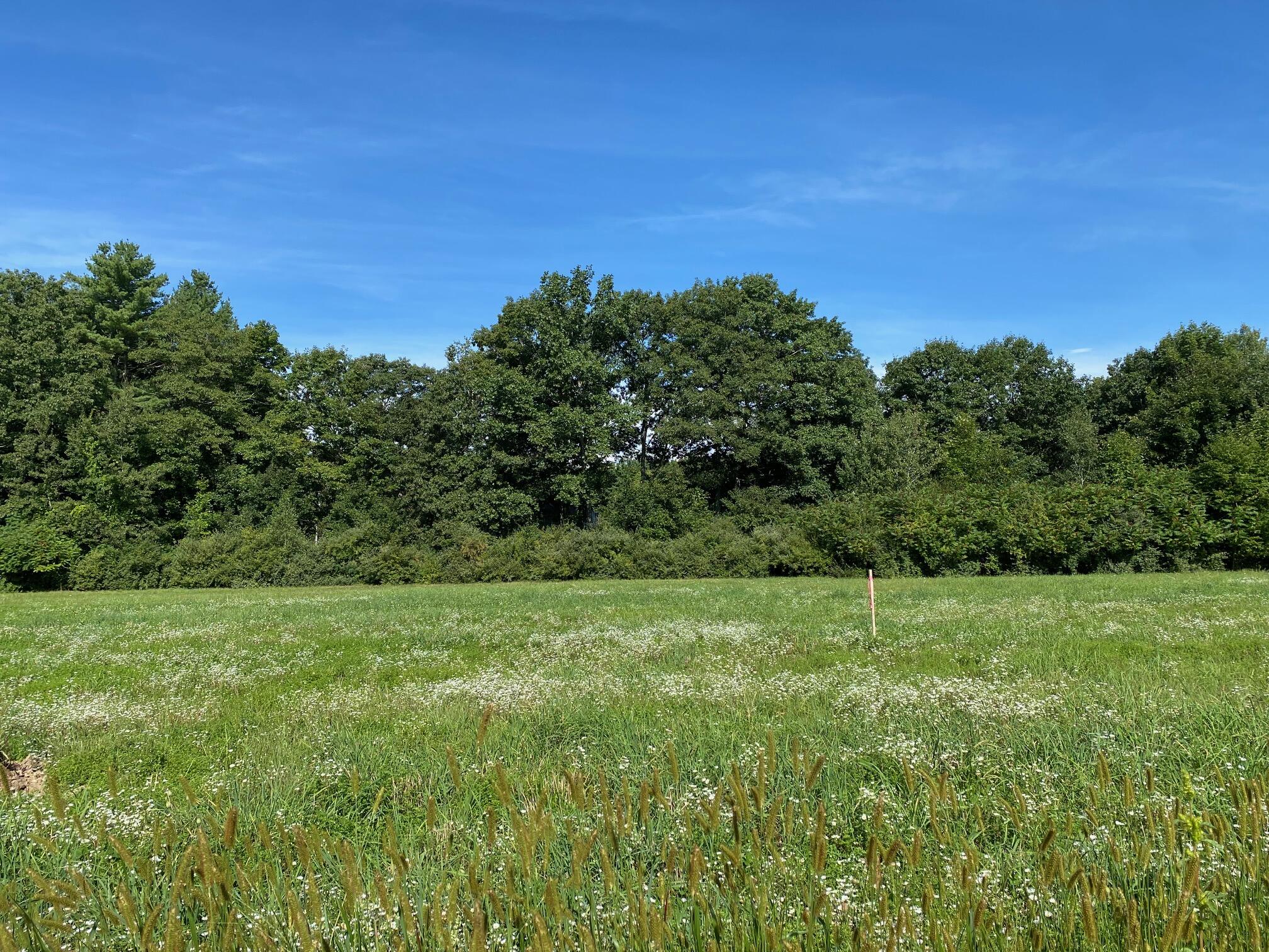 Lot #3 Johnson Farm Road Buxton, ME 04093 - Photo 4 of 5 IMG_9857