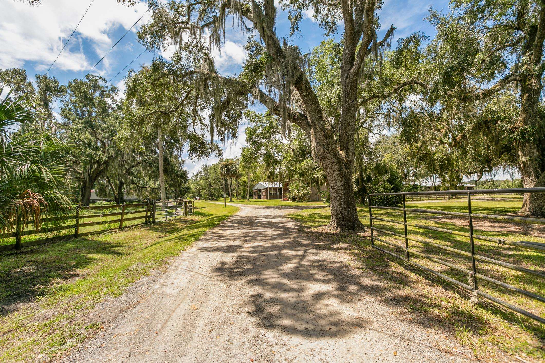 5210 County Road 305 Bunnell, FL 32110 - Photo 11 of 79