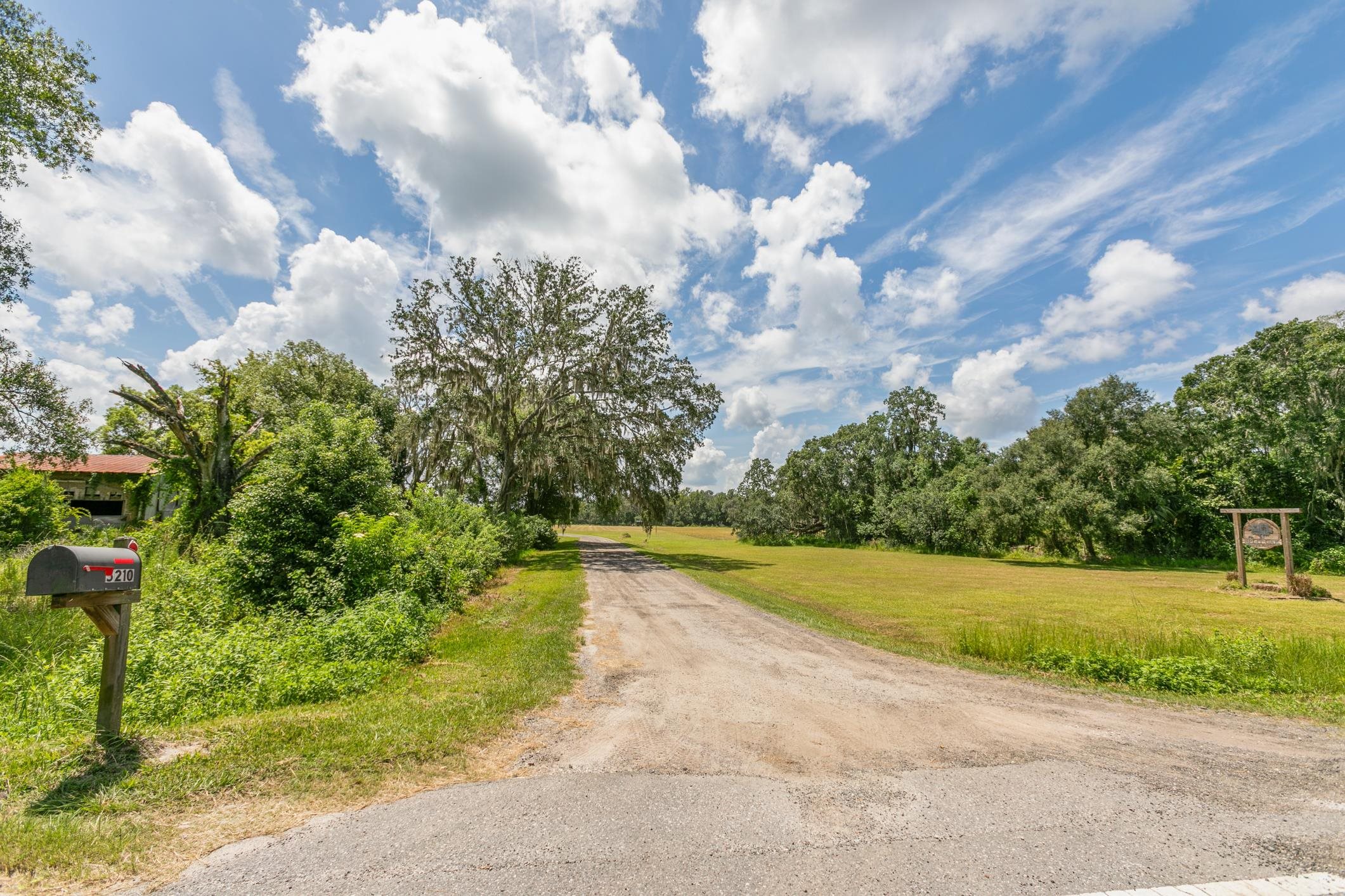 5210 County Road 305 Bunnell, FL 32110 - Photo 2 of 79 a view of a yard with yellow lighting
