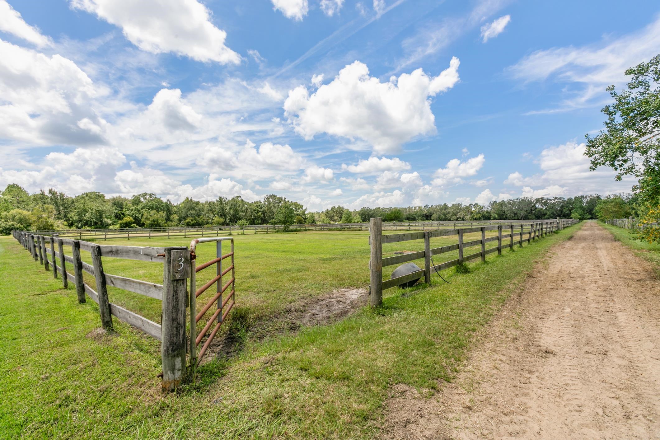 5210 County Road 305 Bunnell, FL 32110 - Photo 50 of 79 a view of a lake with a big yard