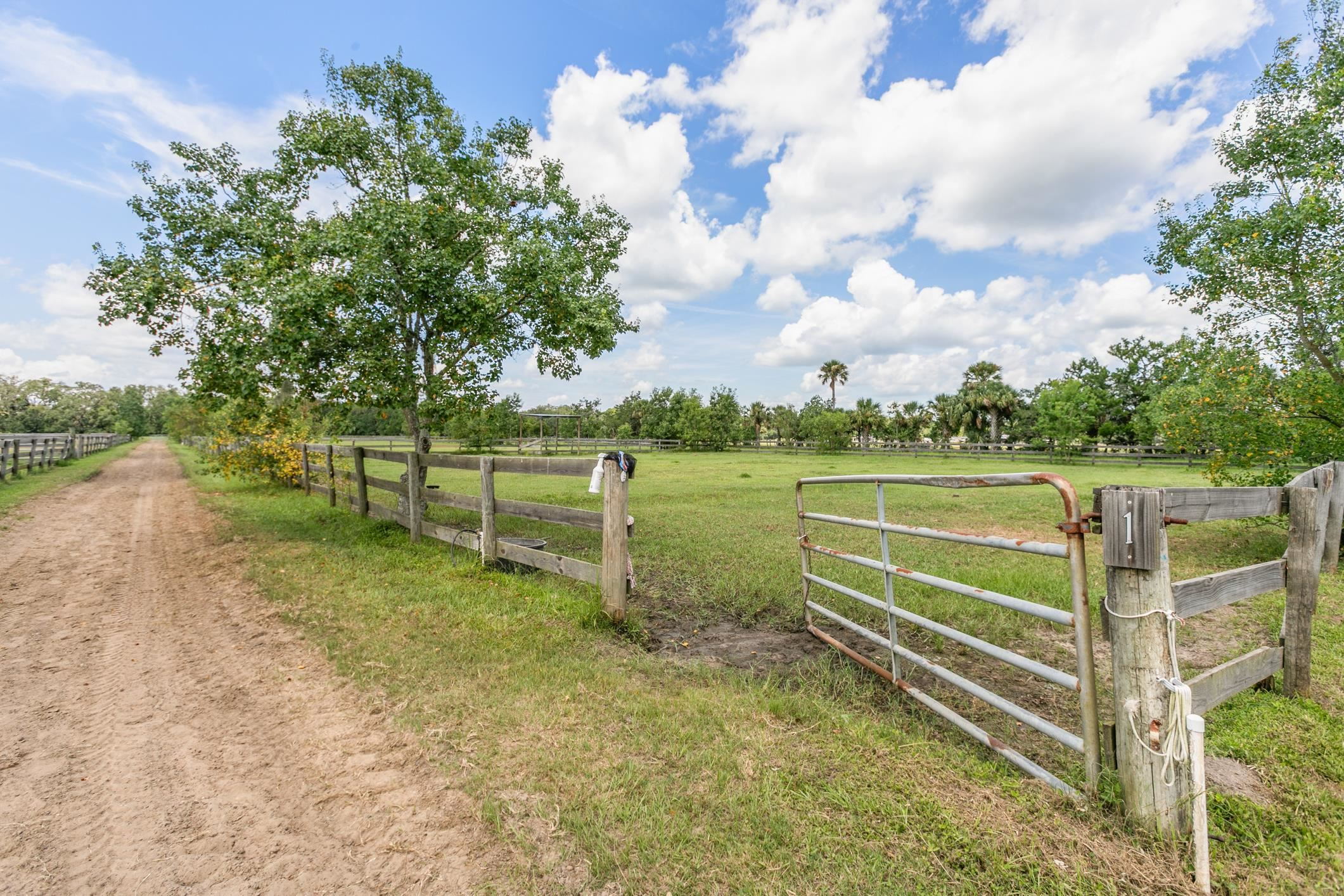 5210 County Road 305 Bunnell, FL 32110 - Photo 51 of 79 a view of a park with an outdoor space
