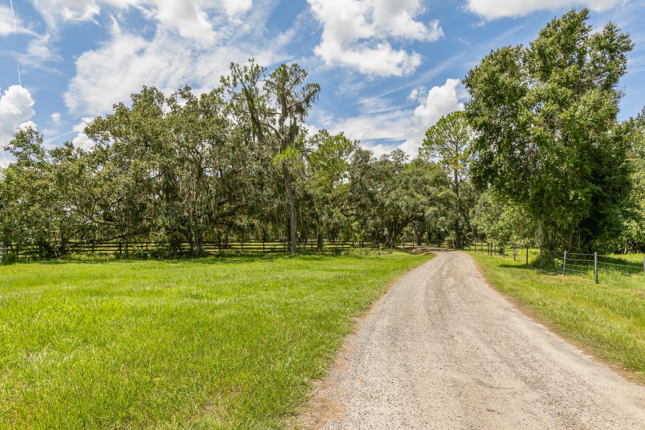 5210 County Road 305 Bunnell, FL 32110 - Photo 7 of 79 a view of a golf course with a lake