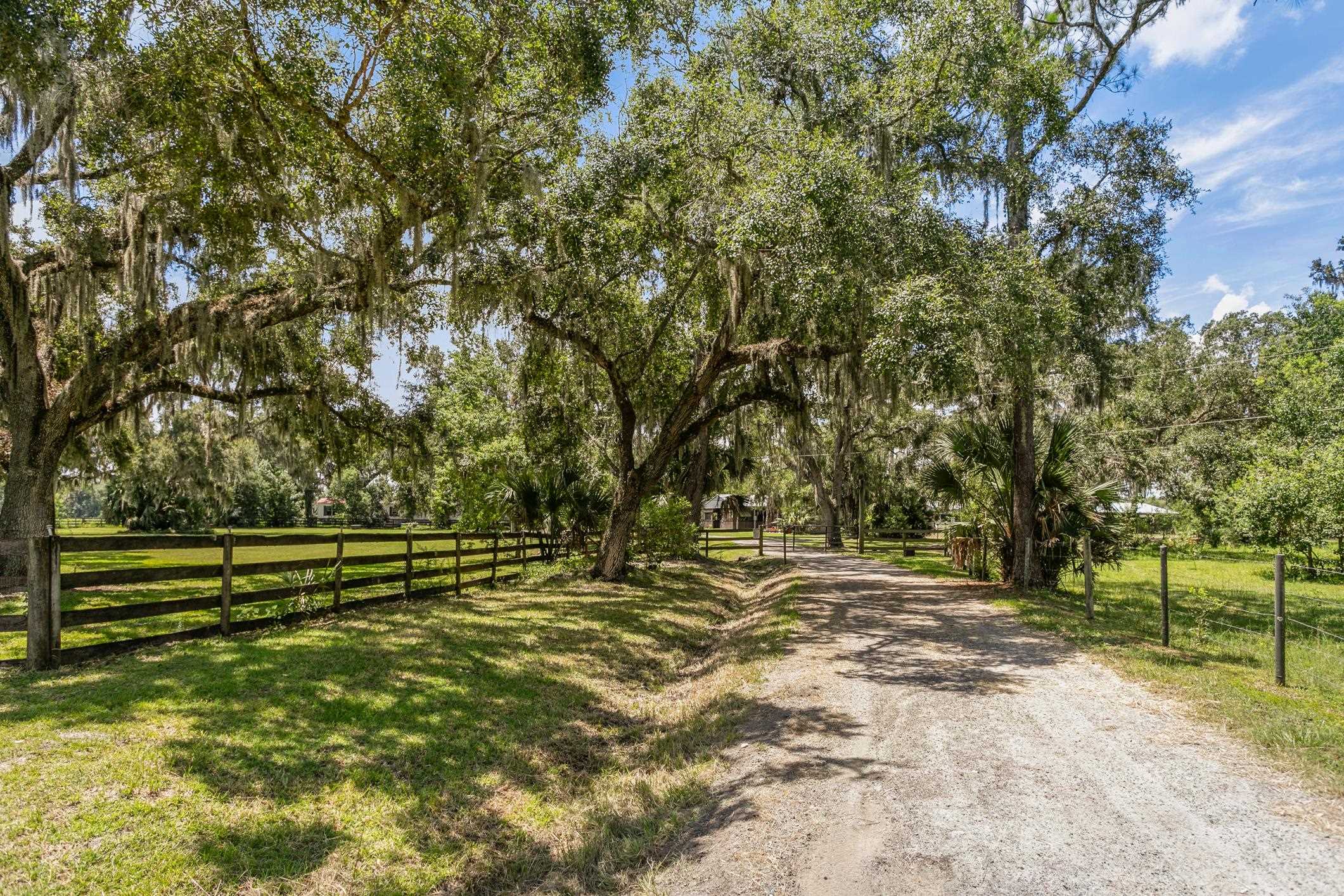 5210 County Road 305 Bunnell, FL 32110 - Photo 8 of 79 a view of outdoor space with trees