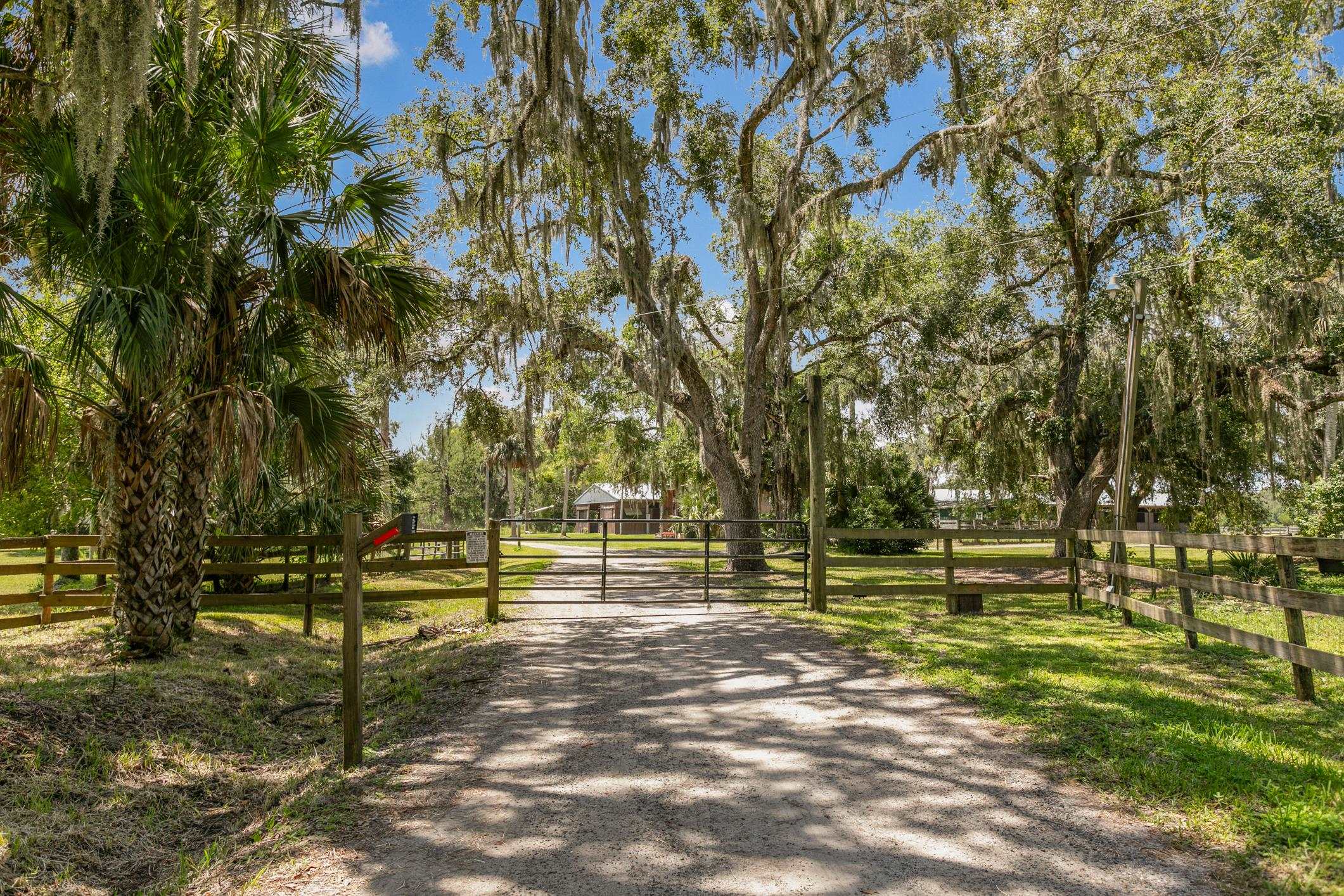5210 County Road 305 Bunnell, FL 32110 - Photo 9 of 79 a view of park with large trees