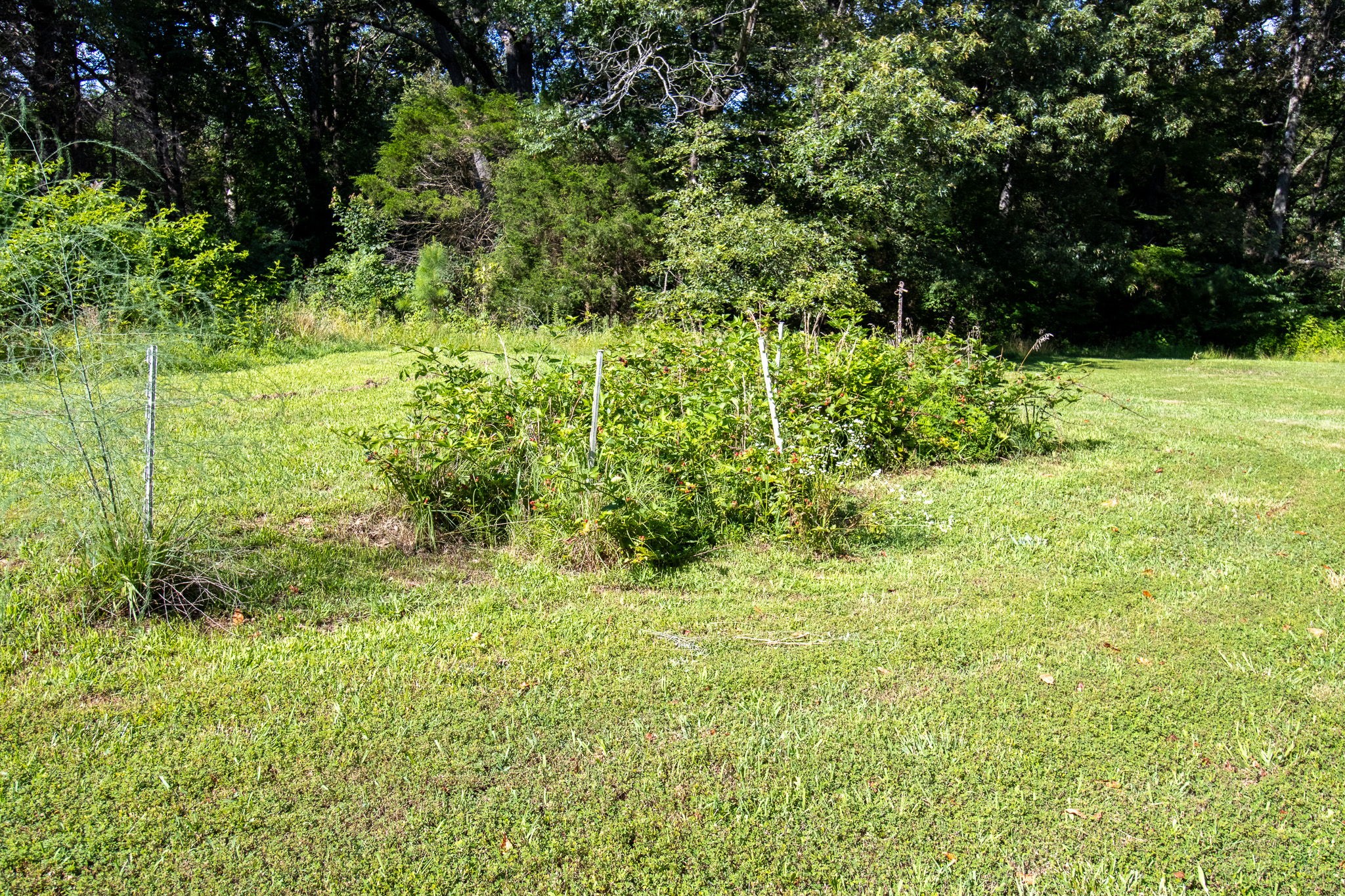 9262 Covington Road White House, TN 37188 - Photo 46 of 53
