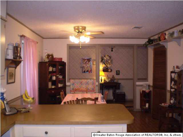 40187 Ronda Avenue Prairieville, LA 70769 - Photo 2 of 6 Gallery Image 2