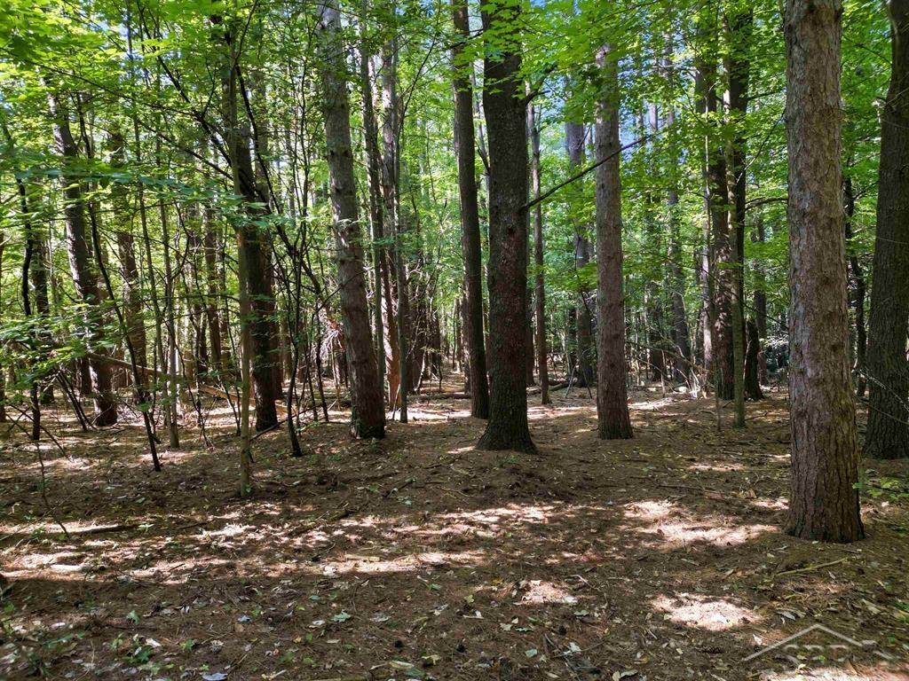 Vl Sandy Ridge Drive Hope, MI 48628 - Photo 9 of 12
