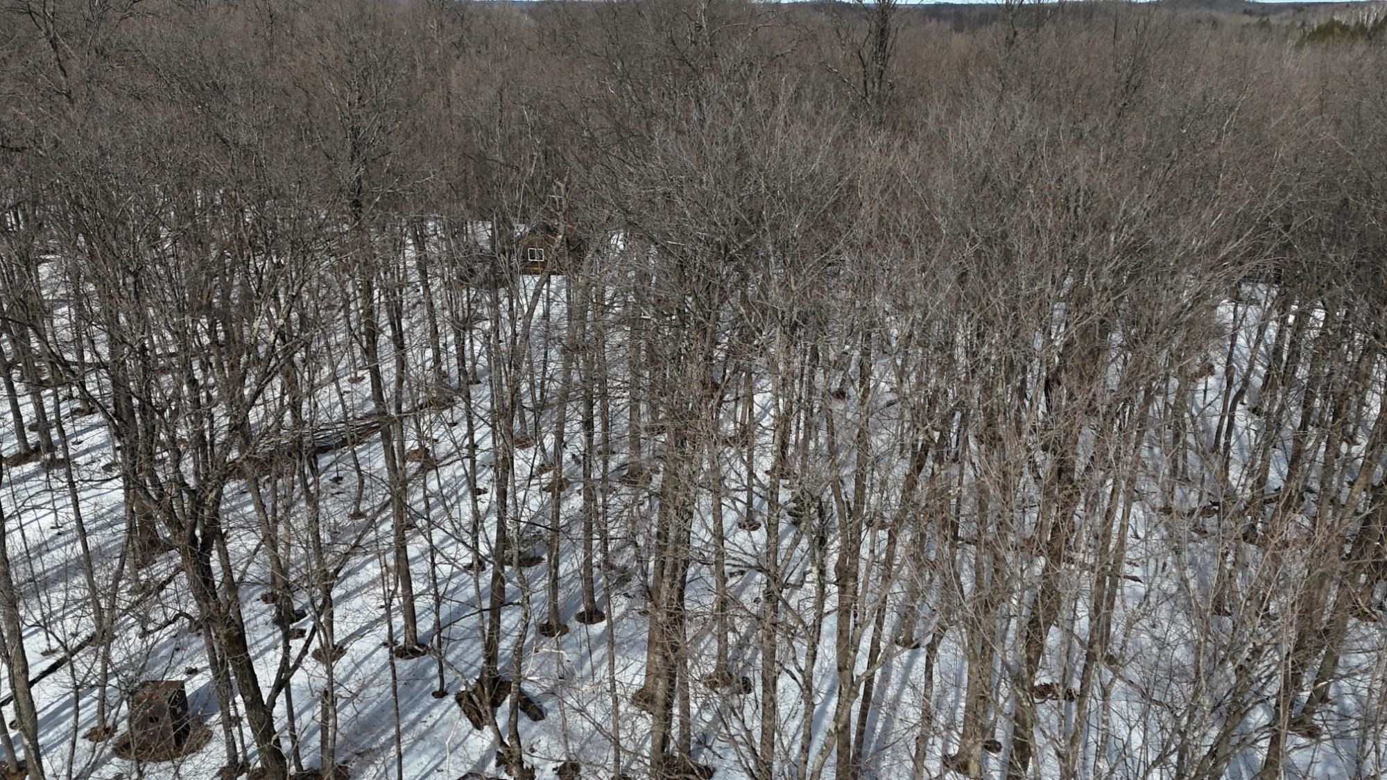 W1438 Country Squire Road Gleason, WI 54435 - Photo 20 of 21