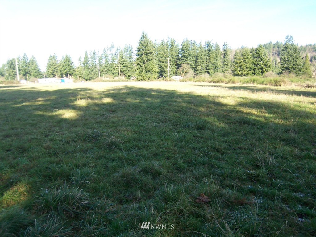 63 North Blockhouse Road Elma, WA 98541 - Photo 16 of 23 Gallery Image 16