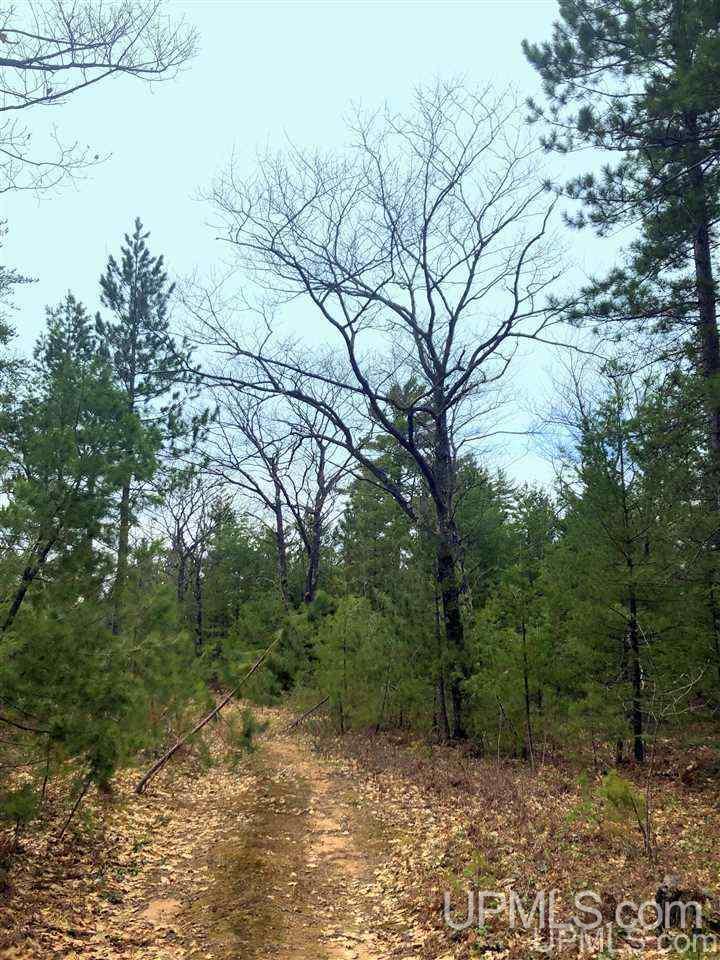 Tbd Valley Road Marquette, MI 49855 - Photo 17 of 59