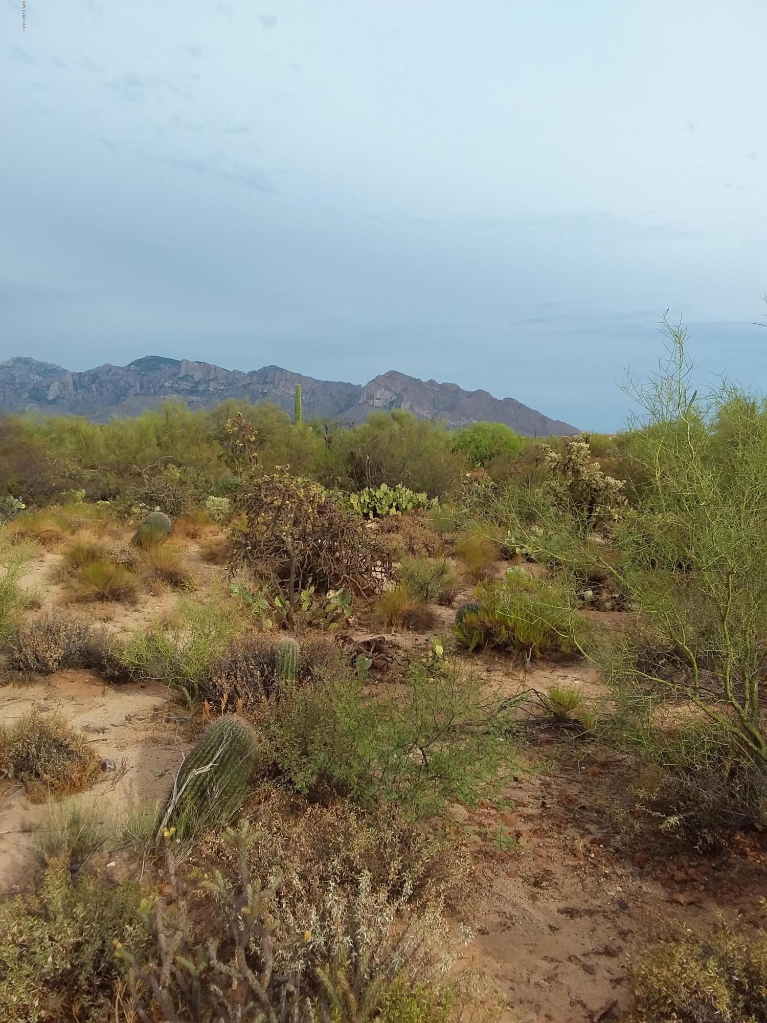 2315 West Tangerine Road Tucson, AZ 85742 - Photo 27 of 27