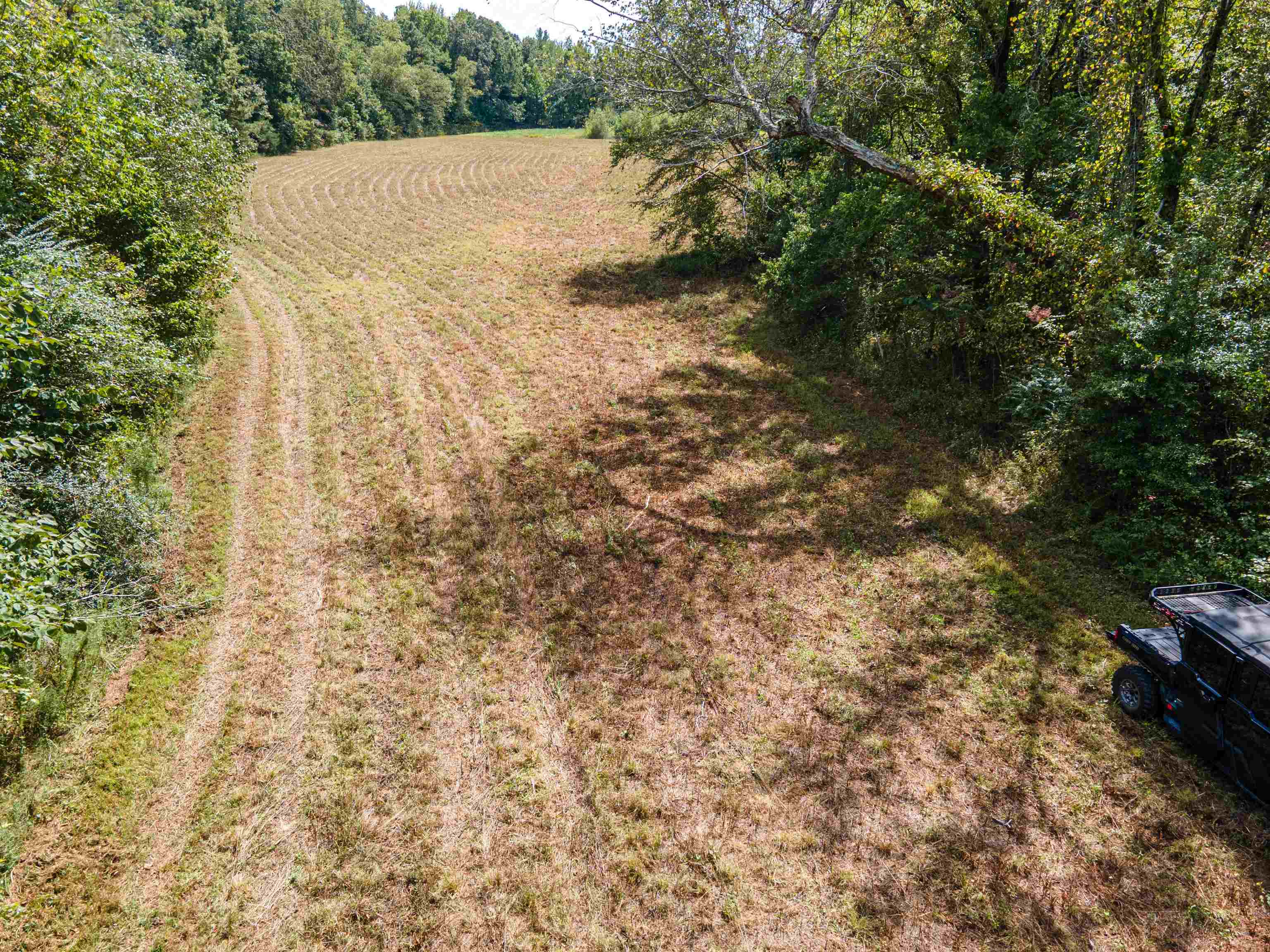 1485 Walton Road Bolivar, TN 38008 - Photo 12 of 23 a view of a yard with an outdoor space