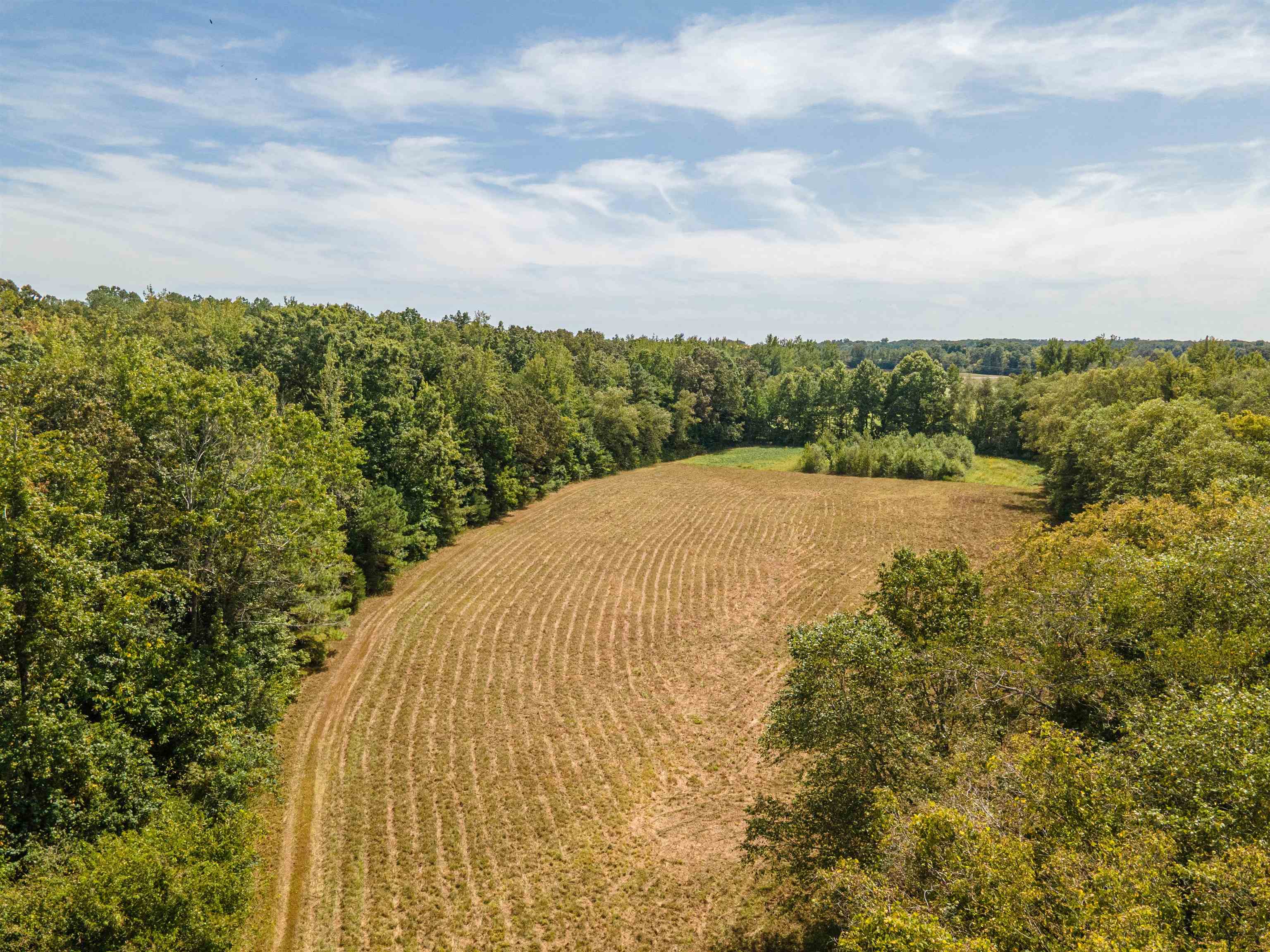 1485 Walton Road Bolivar, TN 38008 - Photo 13 of 23 Aerial view of sparsely populated area with farmland and a forest