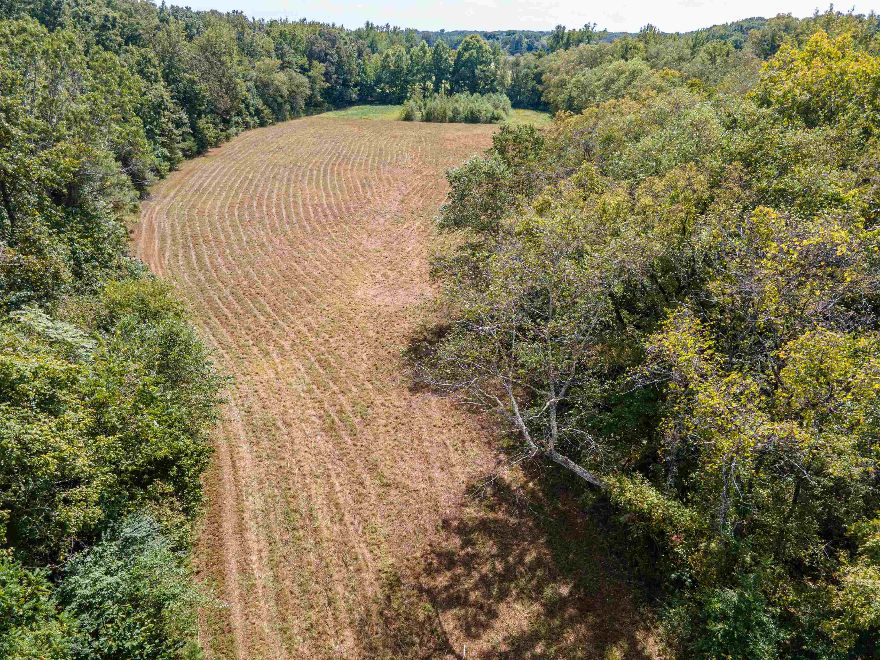 1485 Walton Road Bolivar, TN 38008 - Photo 17 of 23 View of rural area with a forest and extensive farmland