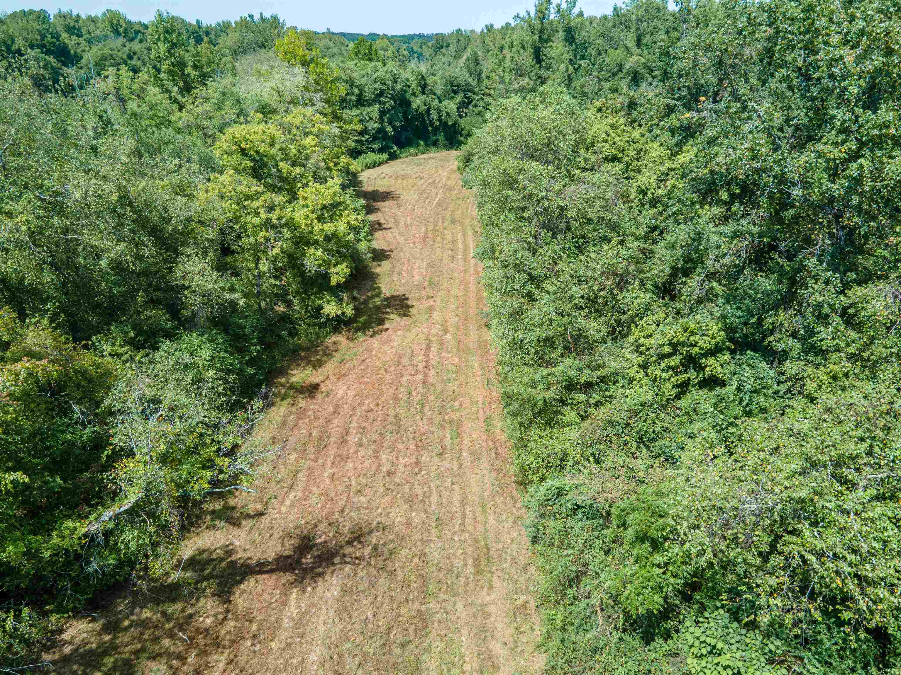 1485 Walton Road Bolivar, TN 38008 - Photo 18 of 23 Aerial view of property and surrounding area with a forest