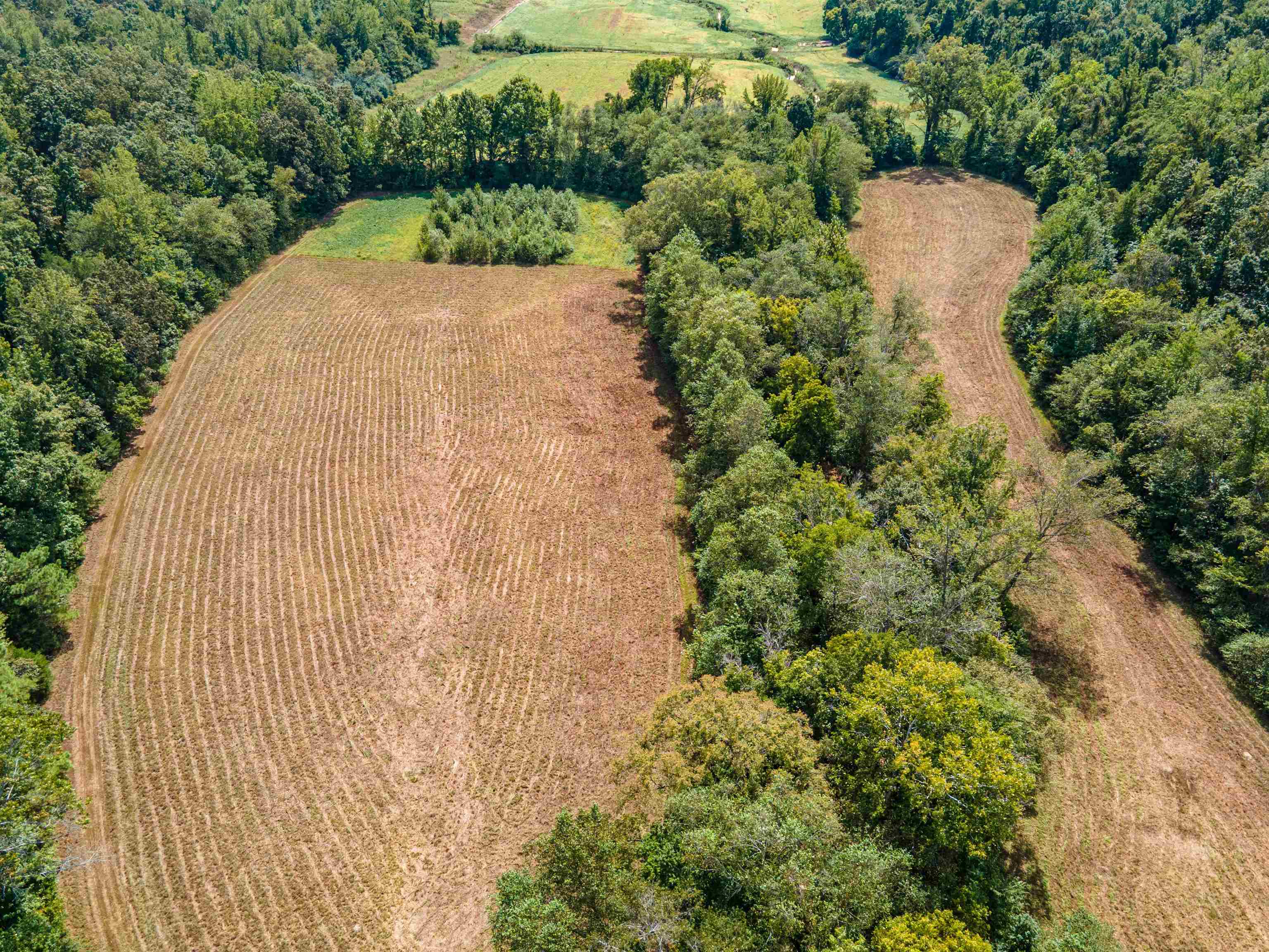 1485 Walton Road Bolivar, TN 38008 - Photo 19 of 23 a view of a garden with plants