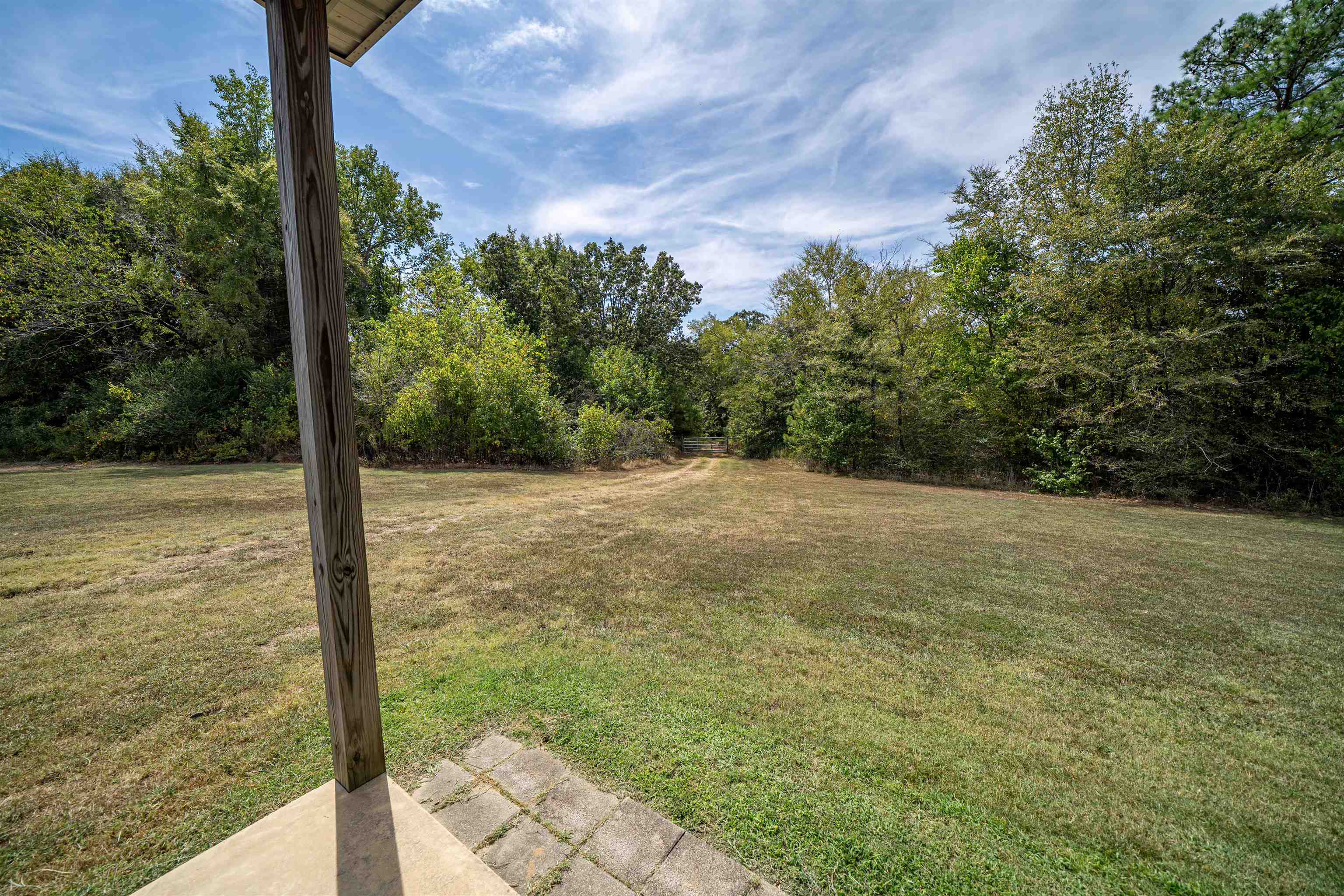 1485 Walton Road Bolivar, TN 38008 - Photo 6 of 23 a view of a yard with an tree