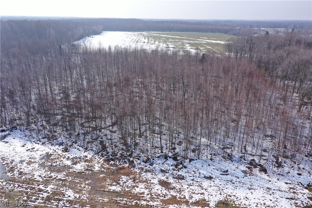 Adams Road Kingsville, OH 44048 - Photo 3 of 11 Gallery Image 3