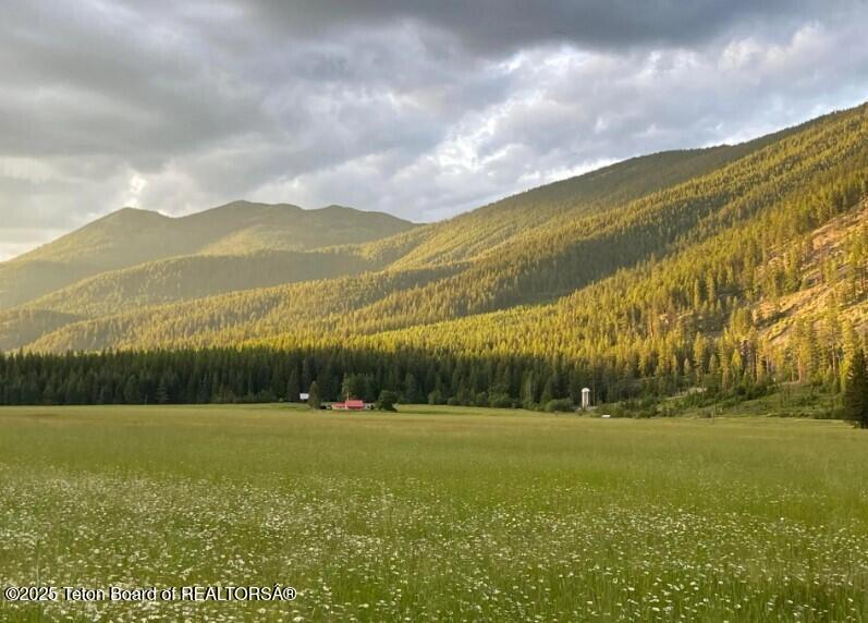 2398 Pne Crk Road Troy, MT 59935 - Photo 1 of 31 Screenshot 2024-08-24 210744