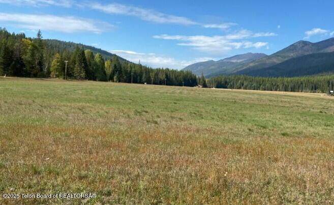 2398 Pne Crk Road Troy, MT 59935 - Photo 11 of 31 Screenshot 2024-08-24 210003