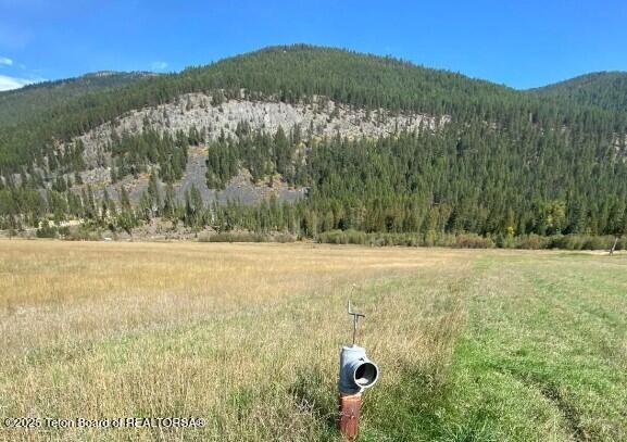 2398 Pne Crk Road Troy, MT 59935 - Photo 14 of 31 Screenshot 2024-08-24 205841