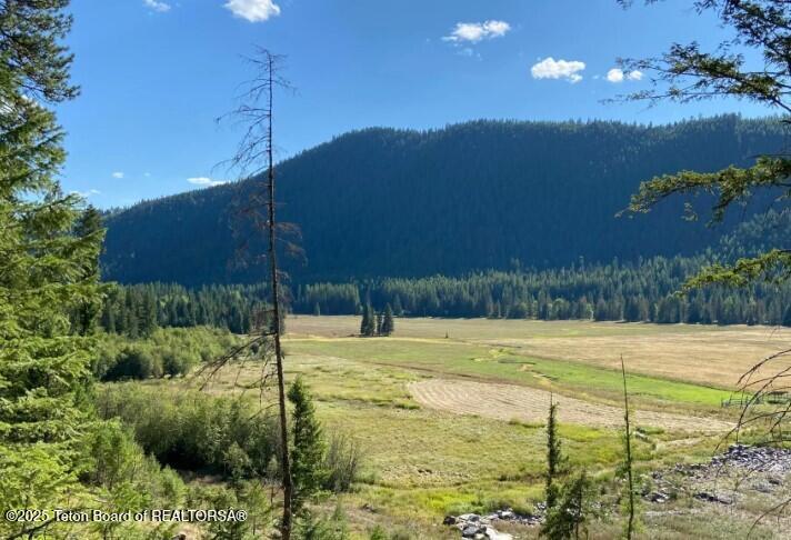 2398 Pne Crk Road Troy, MT 59935 - Photo 15 of 31 Screenshot 2024-08-24 205743