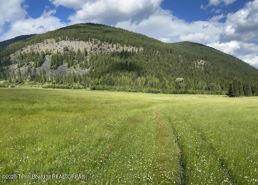 2398 Pne Crk Road Troy, MT 59935 - Photo 20 of 31 Screenshot 2024-08-24 205429
