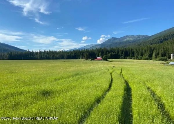 $1,995,000 | 2398 Pne Crk Road, Troy, MT 59935