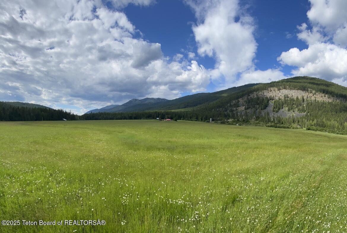 2398 Pne Crk Road Troy, MT 59935 - Photo 26 of 31 LOT-2-PHOTO-1.0-1-1170x785