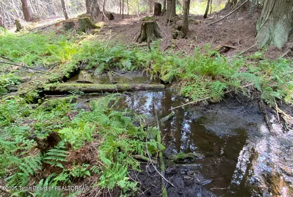 $1,995,000 | 2398 Pne Crk Road, Troy, MT 59935