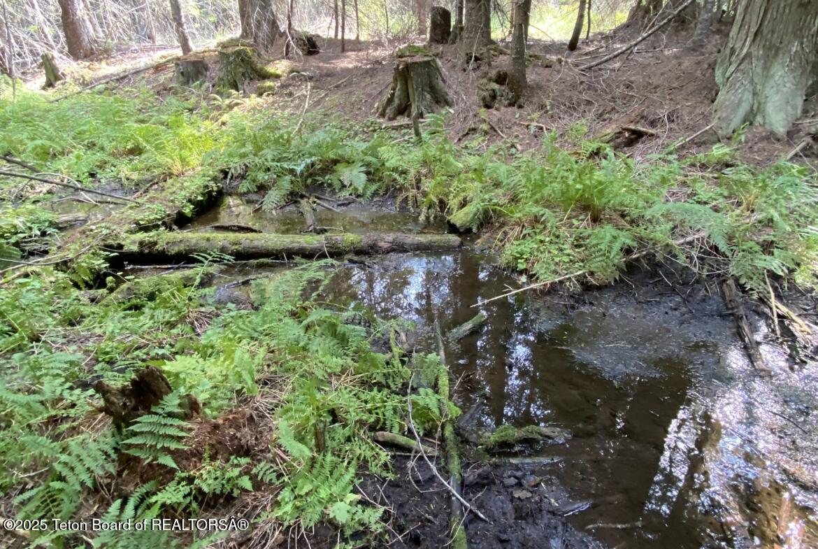 2398 Pne Crk Road Troy, MT 59935 - Photo 28 of 31 05-Lot-6-1170x785