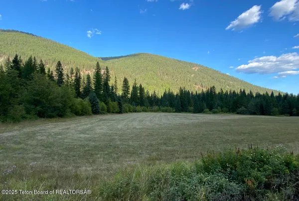 $1,995,000 | 2398 Pne Crk Road, Troy, MT 59935