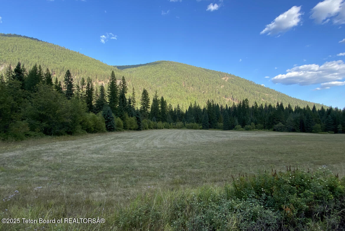 2398 Pne Crk Road Troy, MT 59935 - Photo 29 of 31 01-Southern-Parcel-Lot-6-1170x785