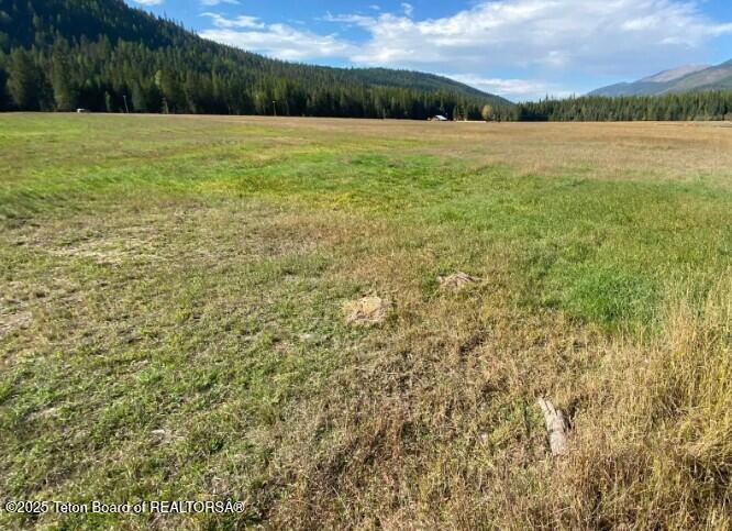 2398 Pne Crk Road Troy, MT 59935 - Photo 4 of 31 Screenshot 2024-08-24 210820