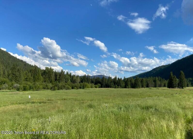 2398 Pne Crk Road Troy, MT 59935 - Photo 5 of 31 Screenshot 2024-08-24 210757