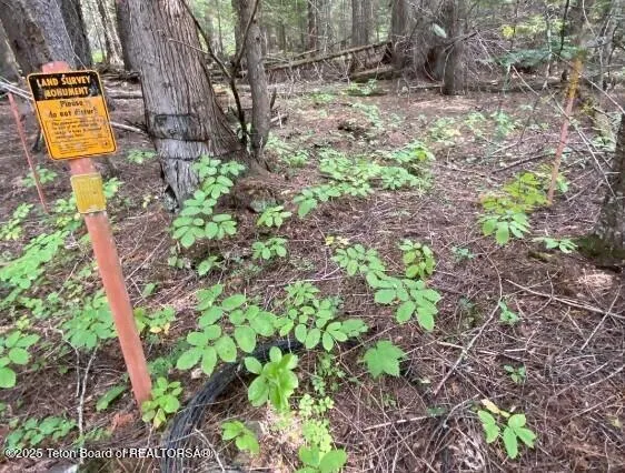 $1,995,000 | 2398 Pne Crk Road, Troy, MT 59935